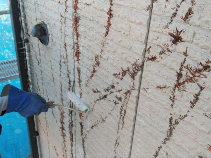外壁 サイディング カビ除去剤塗布(バイオ洗浄)
