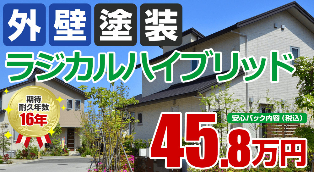 ラジカルハイブリッド塗装塗装 45.8万円